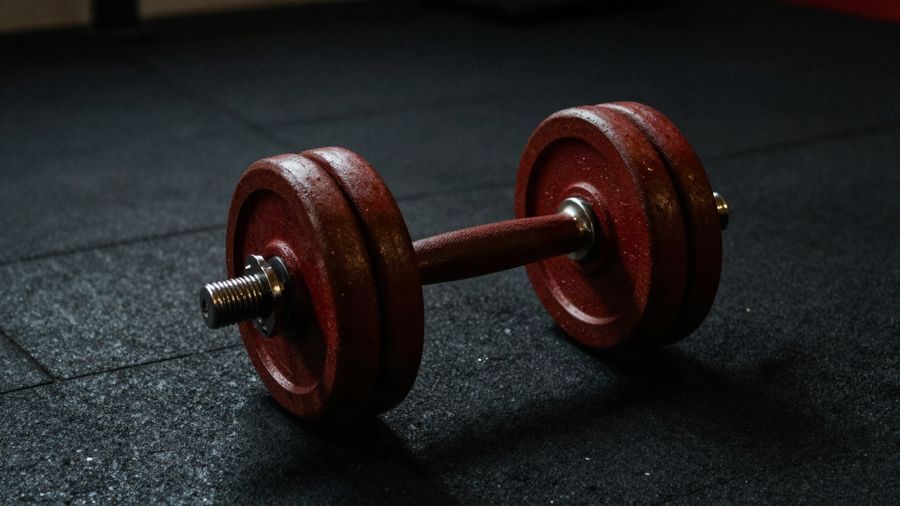A single dumbbell